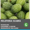 Intratuin Mexikanische Mini-Gurke (Cucamelon) Samen| Obstsamen|Saatgut