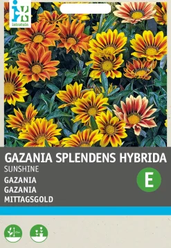 Intratuin Mittagsgold (Gazania splendens hybrida 'Sunshine') Blumensamen| Saatgut|Blühende Pflanzen
