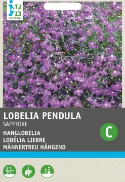 Intratuin Männertreu hängend (Lobelia pendula 'Saphir') Blumensamen| Saatgut|Blühende Pflanzen