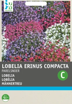 Intratuin Männertreu (Lobelia erinus 'Perlenkette') Blumensamen-Mischung| Saatgut|Blühende Pflanzen