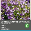 Intratuin Männertreu (Lobelia erinus 'Kristallpalast') Blumensamen| Saatgut|Blühende Pflanzen