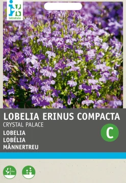 Intratuin Männertreu (Lobelia erinus 'Kristallpalast') Blumensamen| Saatgut|Blühende Pflanzen