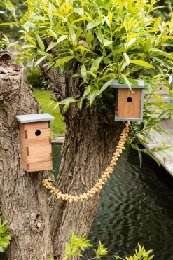 Intratuin Nistkasten für Blaumeise 18 x 15,8 x 20,3 cm| Gartenvögel|Vogelhäuser & Nistkästen