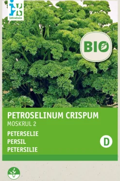 Intratuin Petersilie kraus (Petroselinum crispum 'Mooskrause 2') (BIO) Samen| Kräutersamen|Saatgut