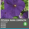 Intratuin Petunie blau (Petunia 'Hybrida Ratsherr') Blumensamen| Blühende Pflanzen|Saatgut