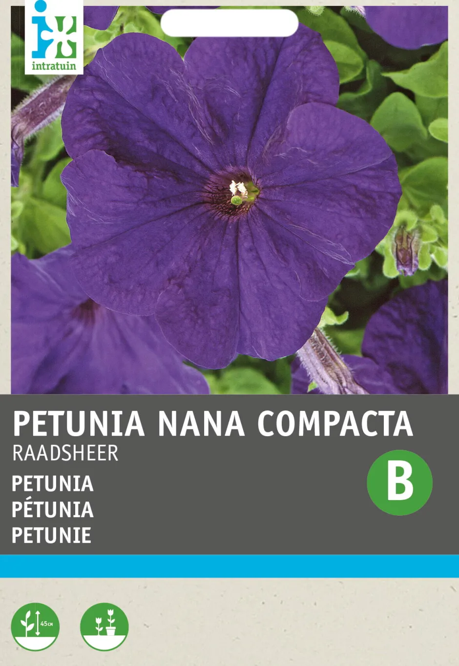 Intratuin Petunie blau (Petunia 'Hybrida Ratsherr') Blumensamen| Blühende Pflanzen|Saatgut