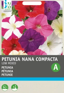 Intratuin Petunie (Petunia Hybrida) Blumensamen-Mischung| Saatgut|Blühende Pflanzen