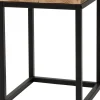 Intratuin Pflanzenhocker Flynn schwarz / Holz 25 x 25 x 31 cm| Pflanztische & -Regale