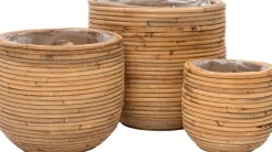 Intratuin Pflanzkorb naturel 24 x 24 x 22 cm| Pflanzkörbe|Blumentöpfe & Pflanzgefäße