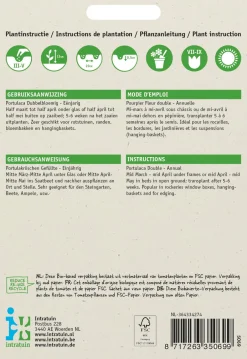 Intratuin Portulakröschen (Portulaca Grandiflora) Blumensamen-Mischung| Saatgut|Blühende Pflanzen