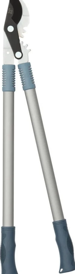 Intratuin Premium Astschere Aluminium blau/silber| Astscheren|Schneiden & Stutzen