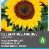 Intratuin Riesen-Sonnenblume (Helianthus annuus 'Giganteus') Blumensamen| Saatgut|Blühende Pflanzen