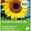 Intratuin Riesen-Sonnenblume (Helianthus annuus 'Giganteus') (BIO) Blumensamen| Saatgut|Blühende Pflanzen