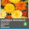 Intratuin Ringelblume (Calendula officinalis 'Pacific Beauty') Blumensamen-Mischung| Saatgut|Blühende Pflanzen
