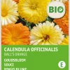 Intratuin Ringelblume (Calendula officinalis 'Ball's Orange') (BIO) Blumensamen| Blühende Pflanzen|Saatgut