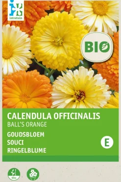 Intratuin Ringelblume (Calendula officinalis 'Ball's Orange') (BIO) Blumensamen| Blühende Pflanzen|Saatgut