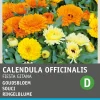 Intratuin Ringelblume (Calendula officinalis 'Fiesta Gitana') Blumensamen-Mischung| Saatgut|Blühende Pflanzen