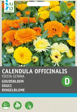 Intratuin Ringelblume (Calendula officinalis 'Fiesta Gitana') Blumensamen-Mischung| Saatgut|Blühende Pflanzen
