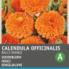 Intratuin Ringelblume (Calendula officinalis 'Ball's Orange') Blumensamen| Saatgut|Blühende Pflanzen