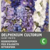 Intratuin Rittersporn (Delphinium cultorum 'Giant pacific') Blumensamen-Mischung| Saatgut|Blühende Pflanzen
