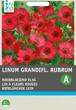 Intratuin Rotblühende Lein (Linum grandiflorum) Blumensamen| Saatgut|Blühende Pflanzen