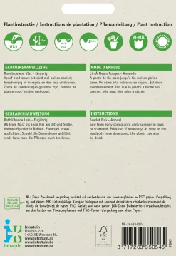 Intratuin Rotblühende Lein (Linum grandiflorum) Blumensamen| Saatgut|Blühende Pflanzen