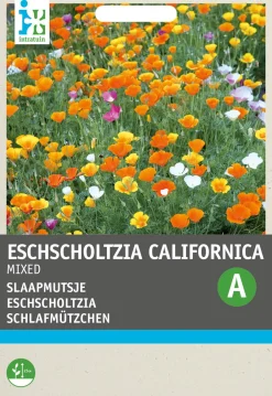 Intratuin Schlafmützchen (Eschscholtzia californica) Blumensamen-Mischung| Saatgut|Blühende Pflanzen
