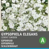 Intratuin Schleierkraut weiß (Gypsophila elegans 'Covent Garden') Blumensamen| Saatgut|Blühende Pflanzen