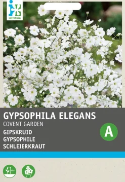 Intratuin Schleierkraut weiß (Gypsophila elegans 'Covent Garden') Blumensamen| Saatgut|Blühende Pflanzen