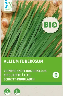 Intratuin Schnittknoblauch (Allium tuberosum) (BIO) Samen| Kräutersamen|Saatgut
