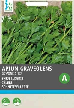 Intratuin Schnittsellerie (Apium graveolens) Samen| Kräutersamen|Saatgut