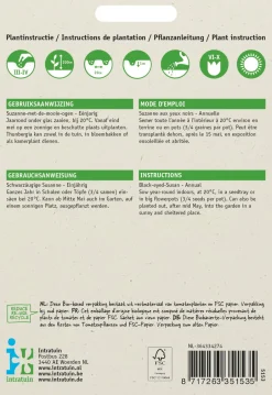Intratuin Schwarzäugige Susanne (Thunbergia alata) Blumensamen| Saatgut|Blühende Pflanzen