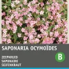 Intratuin Seifenkraut rosa (Saponaria ocymoides) Blumensamen| Saatgut|Immergrüne Pflanzen