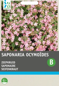 Intratuin Seifenkraut rosa (Saponaria ocymoides) Blumensamen| Saatgut|Immergrüne Pflanzen