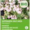 Intratuin Seifenkraut (Saponaria vaccaria 'Pink Beauty') (BIO) Samen| Blühende Pflanzen|Saatgut