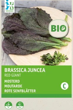 Intratuin Senf (Sinapis alba 'Red Giant') (BIO) Samen| Kräutersamen|Saatgut