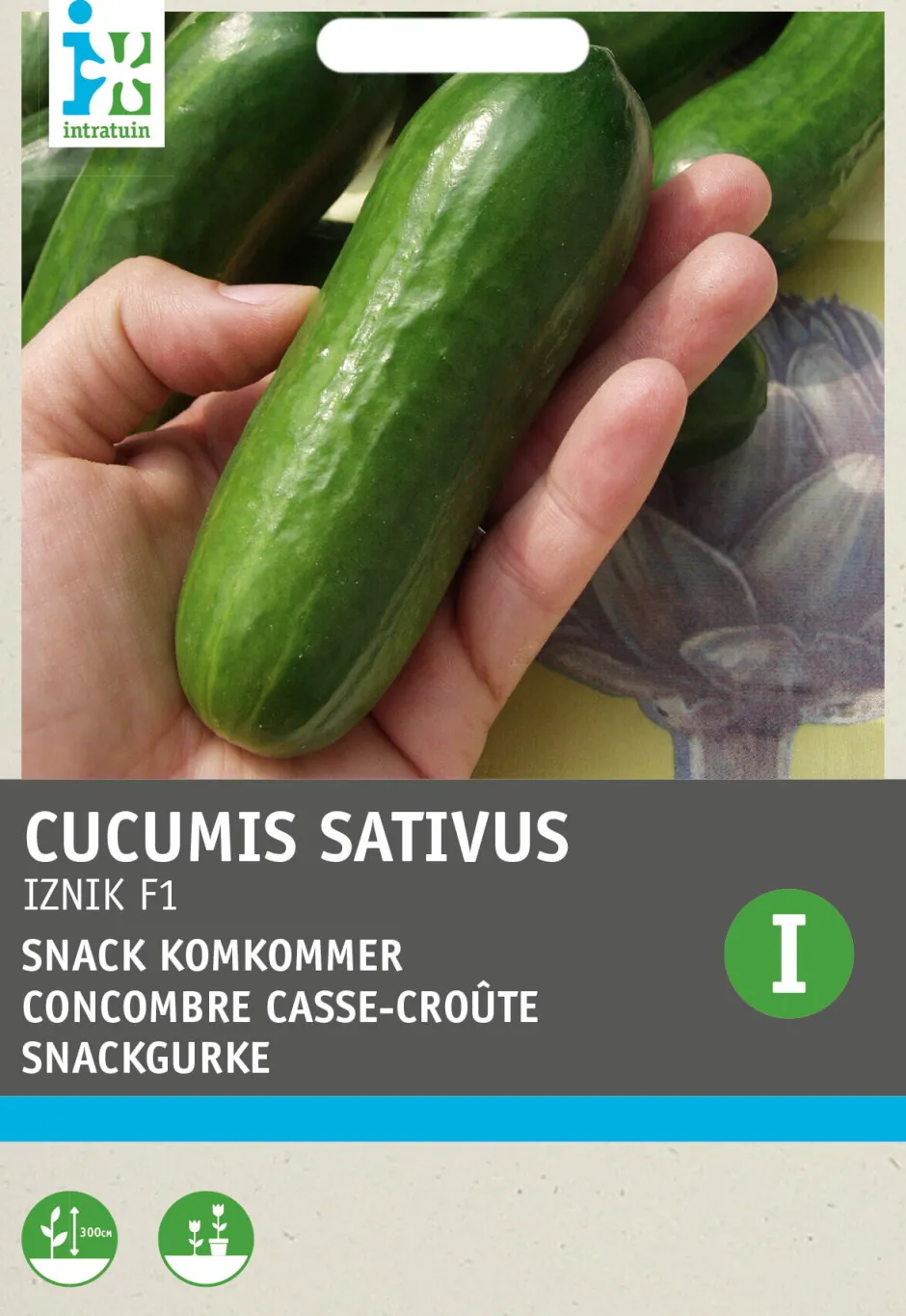 Intratuin Snackgurke (Cucumus sativus 'Iznik F1') Samen| Gemüsesamen|Saatgut