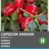 Intratuin Snack-Paprika (Capsicum annuum 'Patio Paragon') Samen| Gemüsesamen|Saatgut