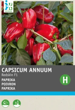 Intratuin Snack-Paprika (Capsicum annuum 'Patio Paragon') Samen| Gemüsesamen|Saatgut