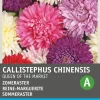Intratuin Sommeraster (Callistephus chinensis 'Reine des Halles') Blumensamen| Saatgut|Blühende Pflanzen