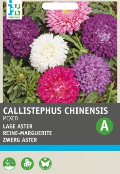 Intratuin Sommeraster (Callistephus chinensis) Blumensamen| Saatgut|Blühende Pflanzen