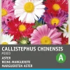 Intratuin Sommeraster (Callistephus chinensis) Blumensamen-Mischung| Saatgut|Blühende Pflanzen