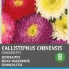 Intratuin Sommeraster (Callistephus chinensis 'Powderpuffs') Blumensamen| Saatgut|Blühende Pflanzen