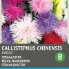Intratuin Sommeraster (Callistephus chinensis 'Unicum') Blumensamen| Saatgut|Blühende Pflanzen