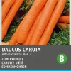 Intratuin Sommermöhren (Daucus carota 'Amsterdamse Bak') Samen| Gemüsesamen|Saatgut