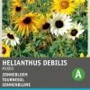 Intratuin Sonnenblume (Helianthus annuus) Blumensamen-Mischung| Saatgut|Blühende Pflanzen
