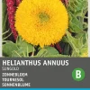 Intratuin Sonnenblume (Helianthus annuus 'Sungold') Blumensamen| Blühende Pflanzen|Saatgut
