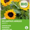 Intratuin Sonnenblume (Helianthus annuus 'Zohar F1') (BIO) Blumensamen| Saatgut|Blühende Pflanzen