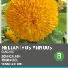 Intratuin Sonnenblume (Helianthus annuus 'Sungold') Blumensamen| Saatgut|Blühende Pflanzen
