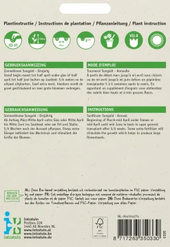 Intratuin Sonnenblume (Helianthus annuus 'Sungold') Blumensamen| Saatgut|Blühende Pflanzen